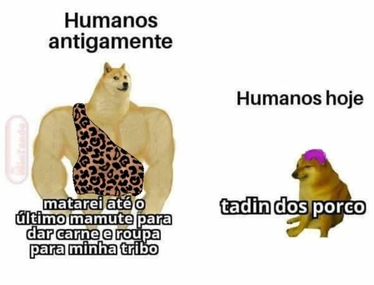 Carne é bom - meme