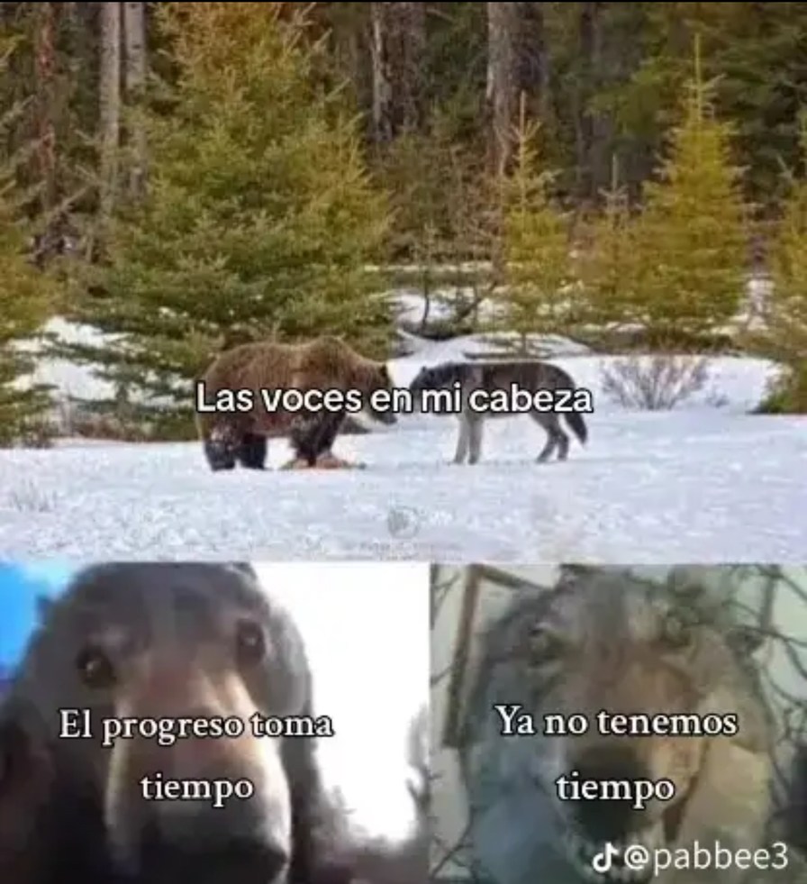 Título - meme