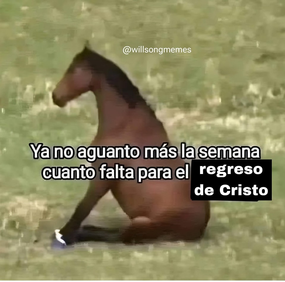 Jesucristo volverá - meme