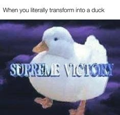 Supreme victory - meme