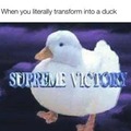 Supreme victory