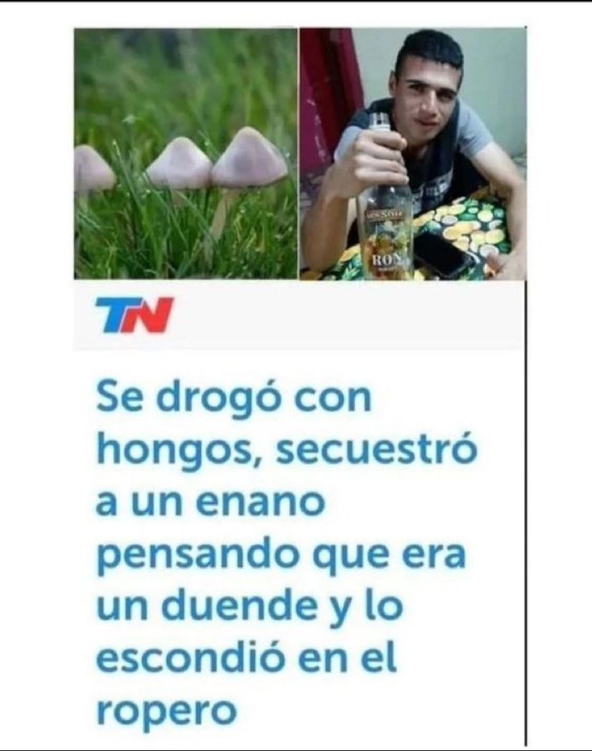 xd - meme