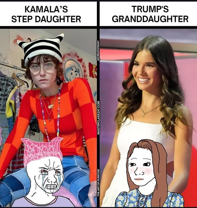 which one was concerned about family values - meme