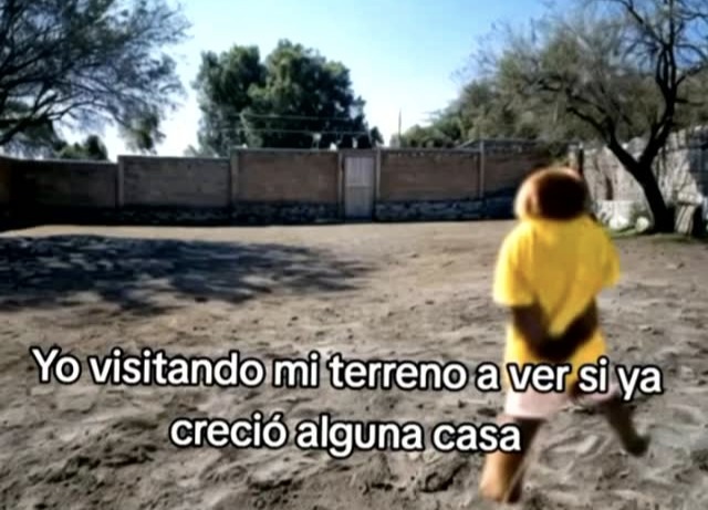 Fui a ver mi terreno a ver si ya salió la casa por arte de magia - meme