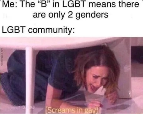 LGBT community - meme