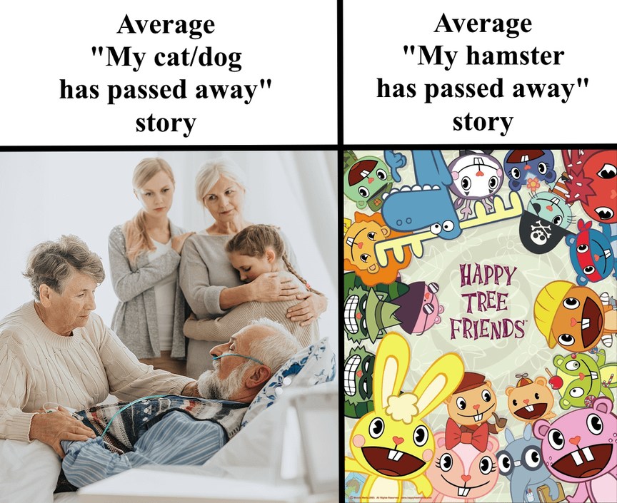 My hamster passed away - meme