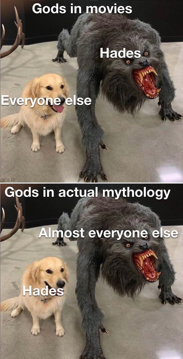 reversed - meme