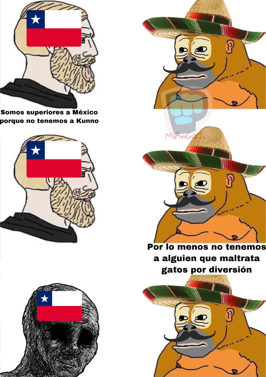 Chile es el país de los enfermos mentales - meme