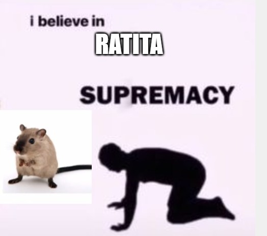 I believe in mouse supremacy - meme