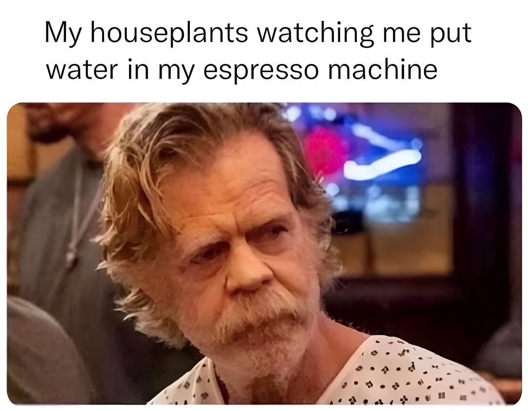 My houseplants watching me put water in my espresso machine - meme