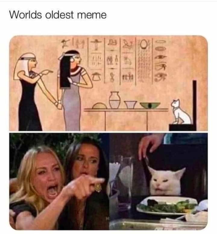 The Best Oldest Memes Memedroid