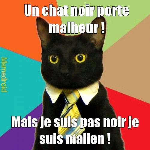 Qui aime l afrique - meme