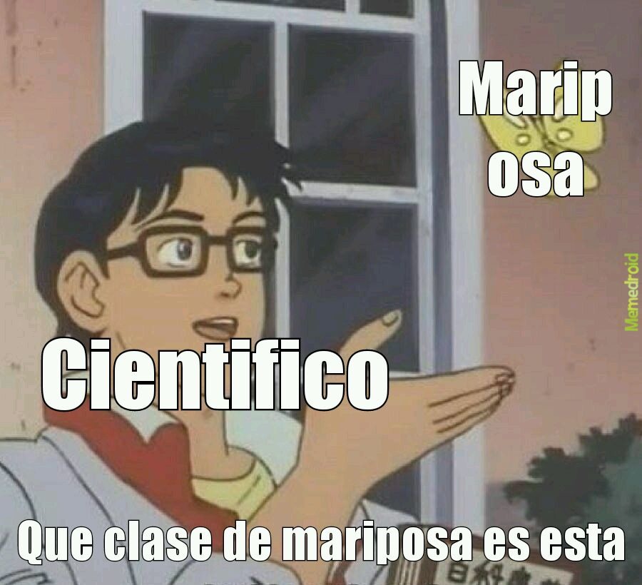 Gjh - meme