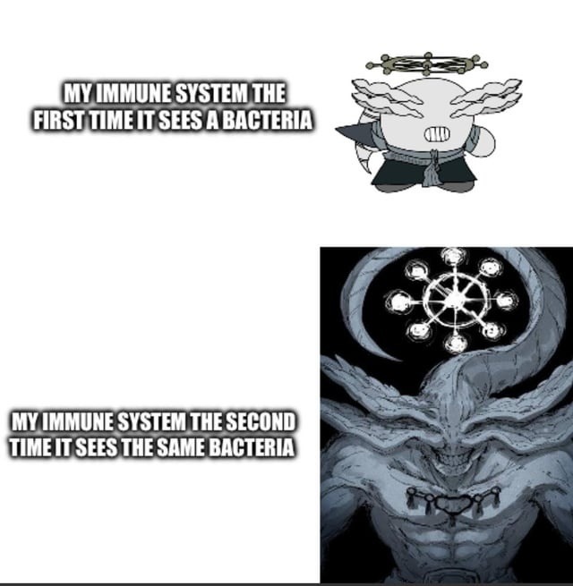Immune system on first contact vs Immune system on round two - meme