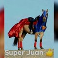 Super juan