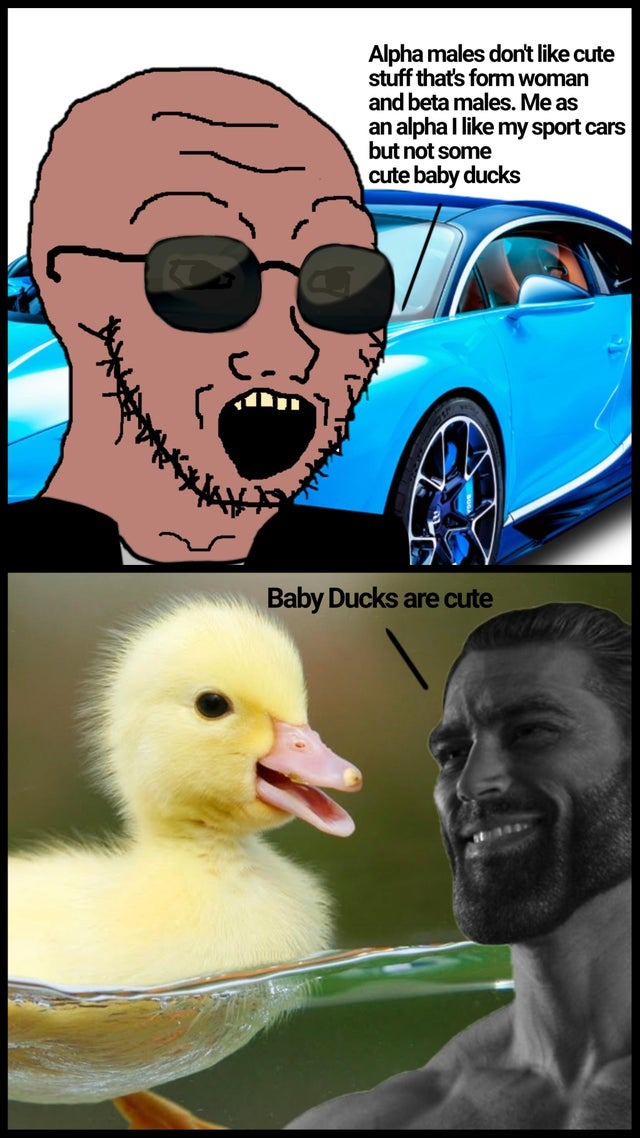 baby ducks are cute - meme