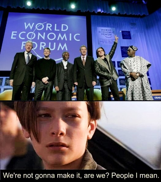 Davos Pseudo-elites - meme