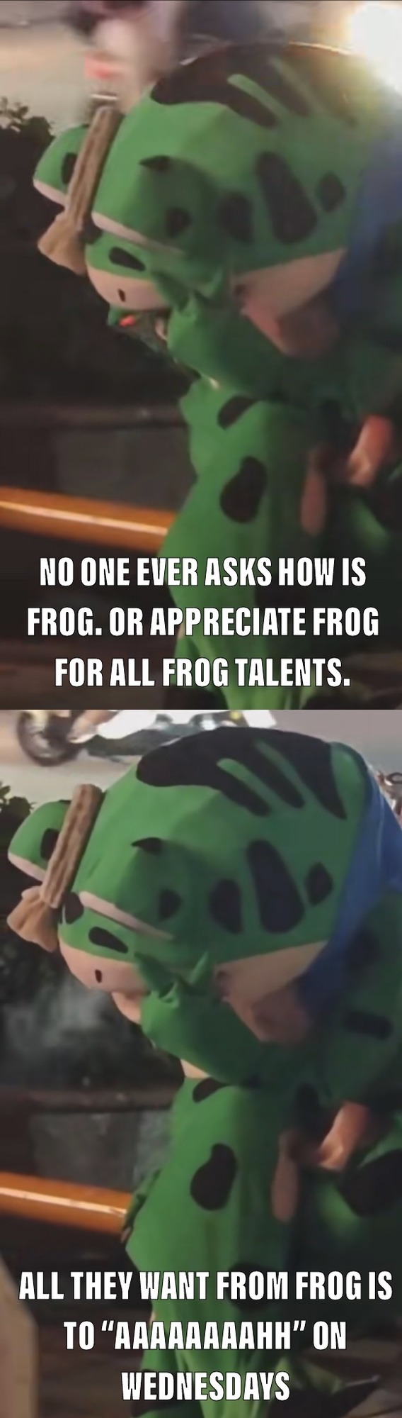 Depressed Frog - meme