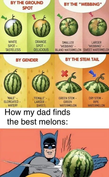 Slapping melons - meme