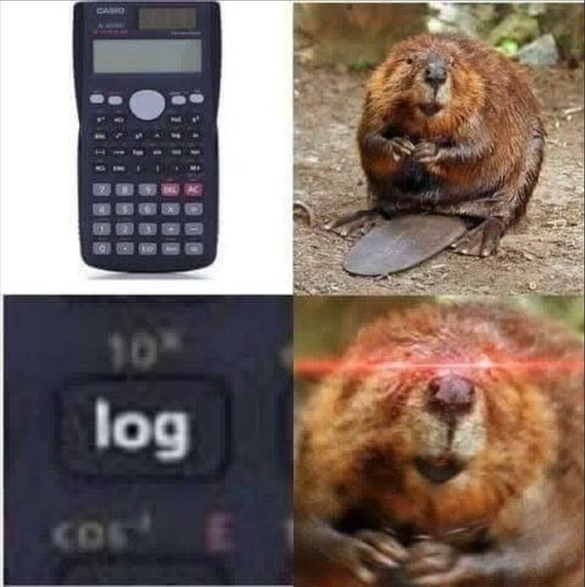Beaver vs calculator - meme