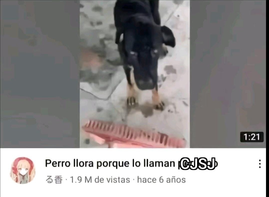 Acepten esto o les gusta cjsj - meme