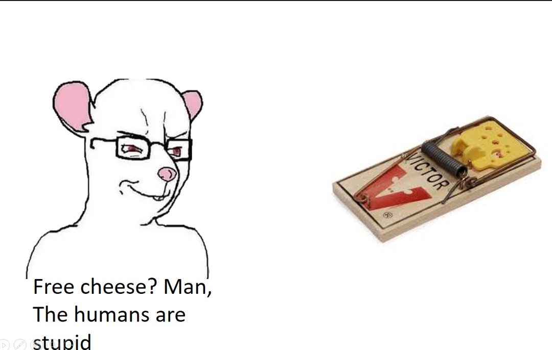 dongs in a mousetrap (ouch, that would hurt) - meme