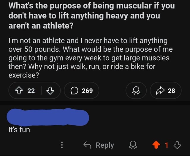 Lifting heavy is fun - meme