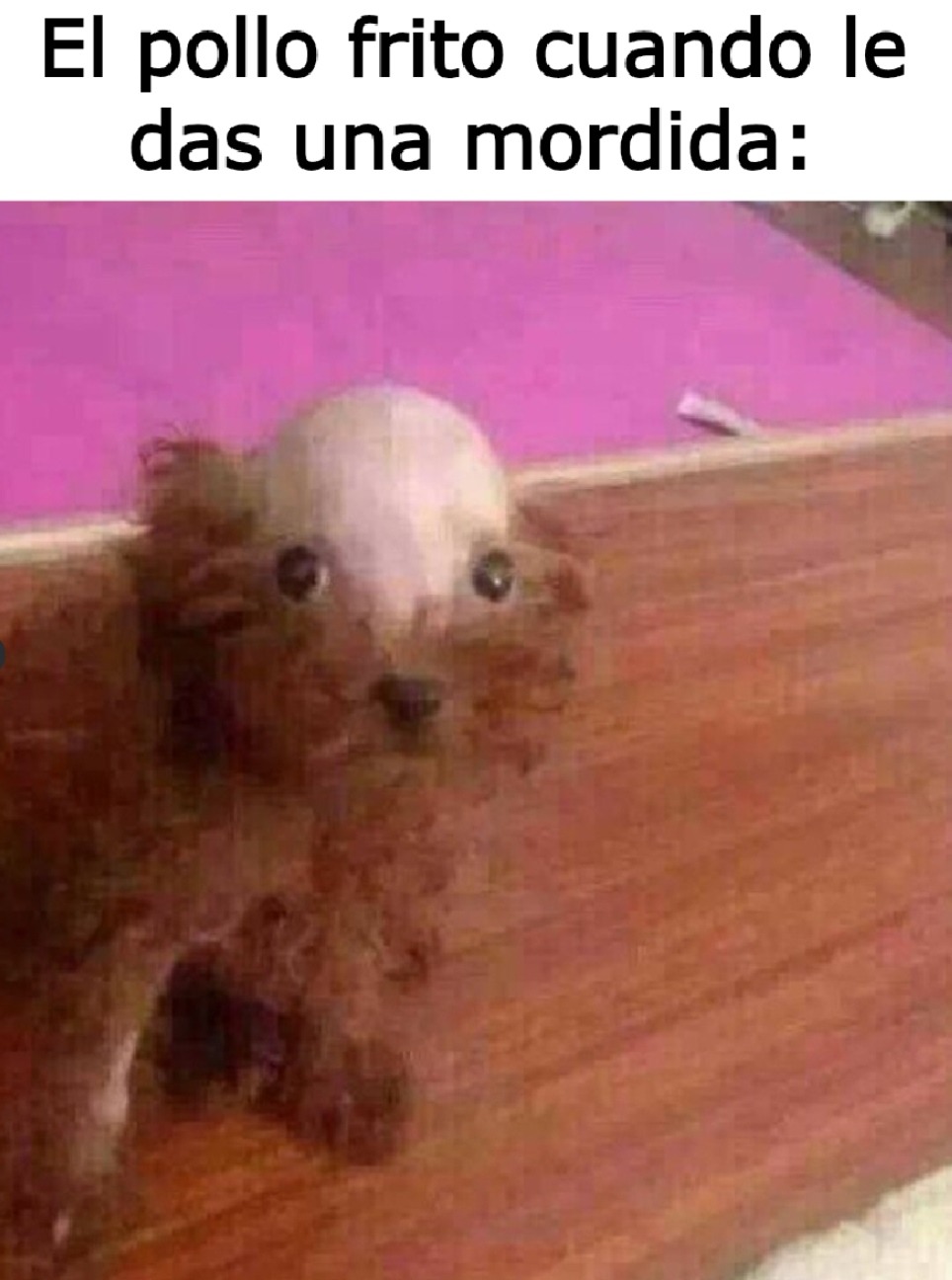 Perro qliao - meme