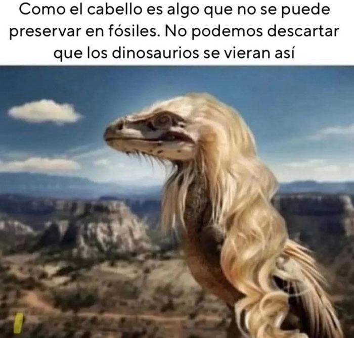 No podemos negar que los dinosaurios pudieron ser peludos y adorables - meme