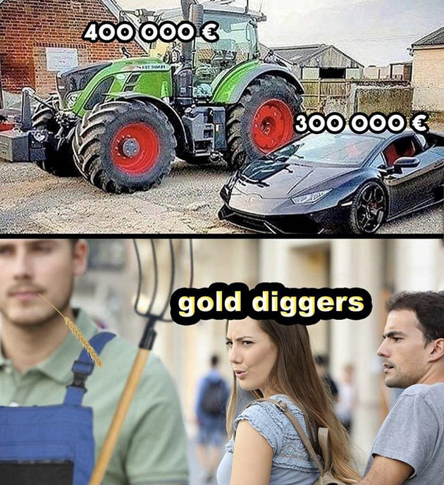 gold digger girlfriend memes