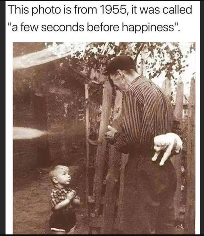 A few seconds before happiness - meme