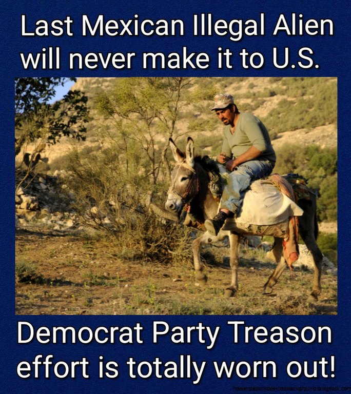 DC Donkeys Are Done - meme