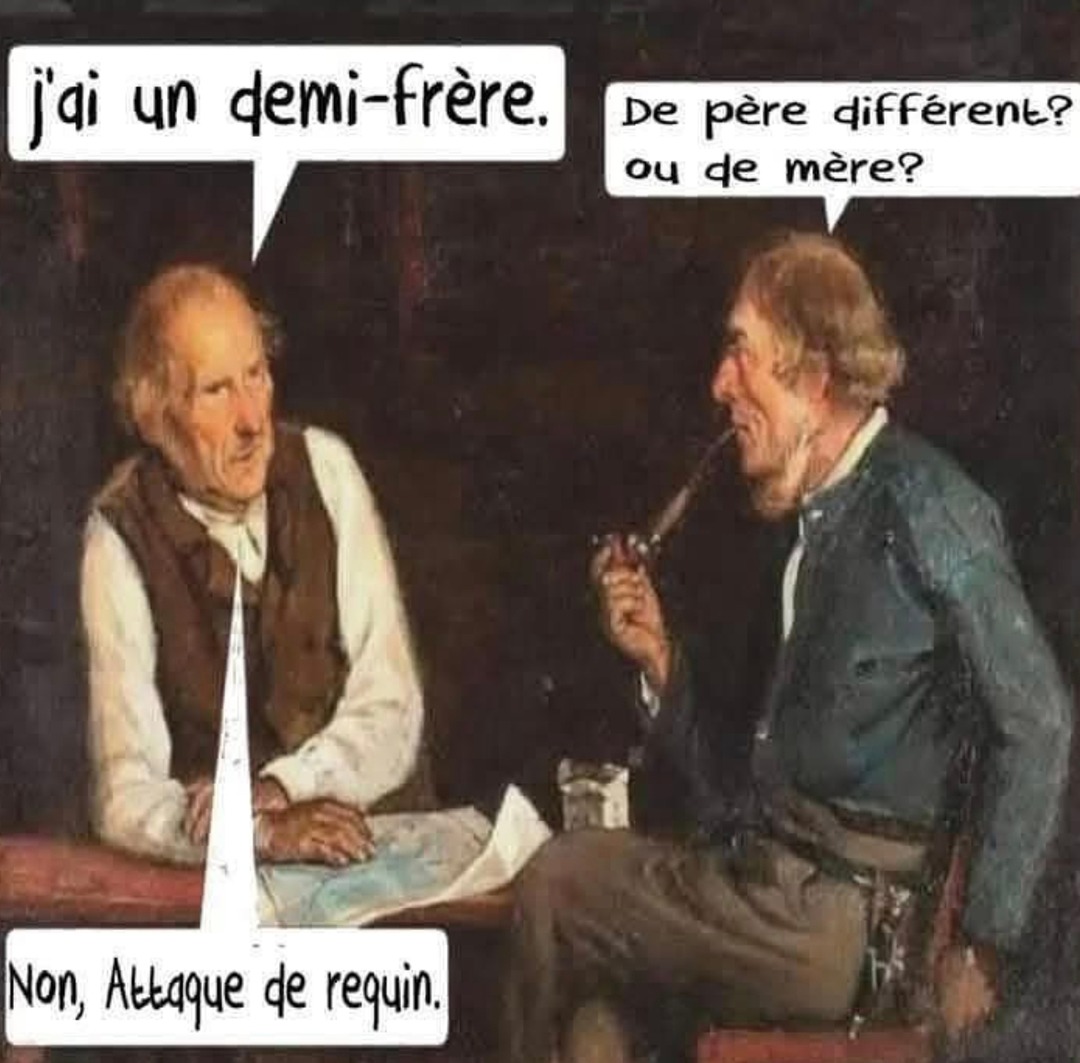 Un demi-frère… de père ? de mère ? ou un requin ? - meme