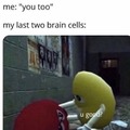 Brain cells