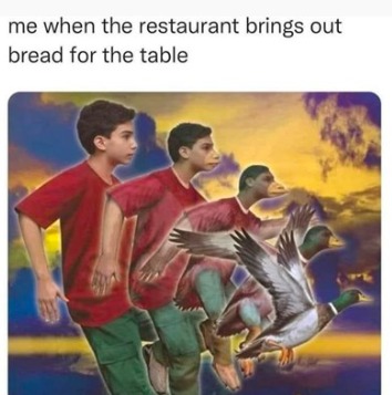 duck vs bread - meme