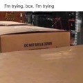 Yes, i'm trying, box