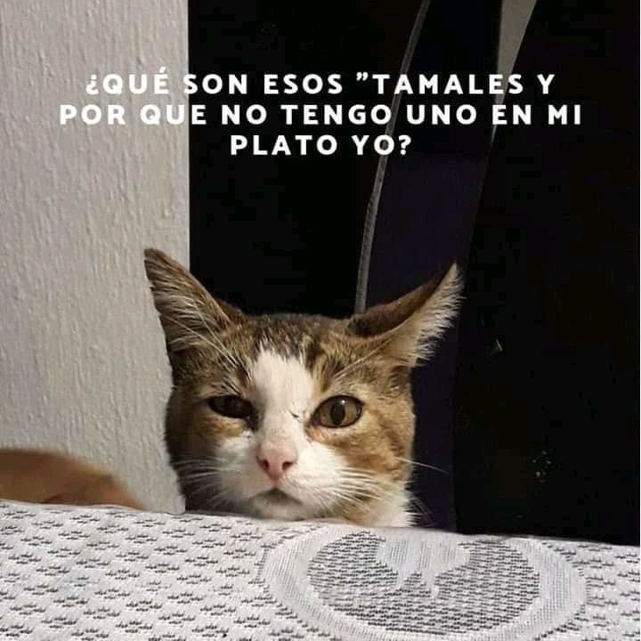 Soy ese - meme