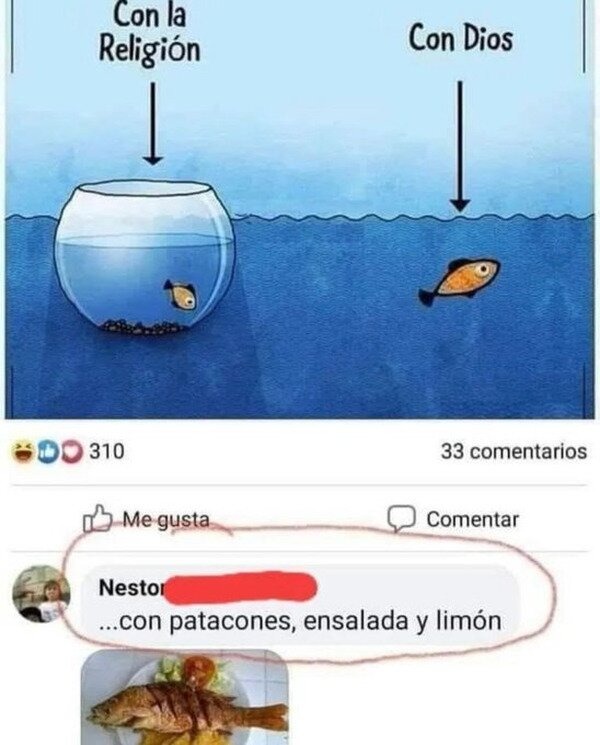 grafico de peces - meme