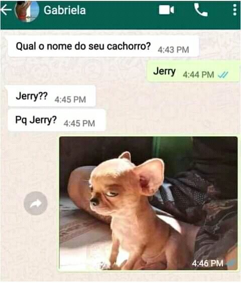 Rato - meme