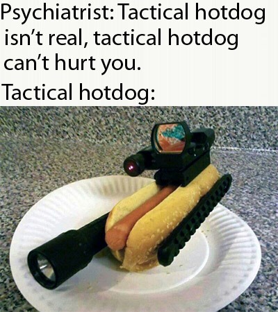You know you'll lose the battle when the enemy has tactical hotdogs. - meme