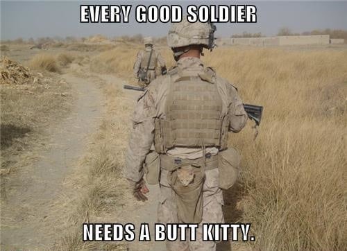 soldiers carrying a cat - meme