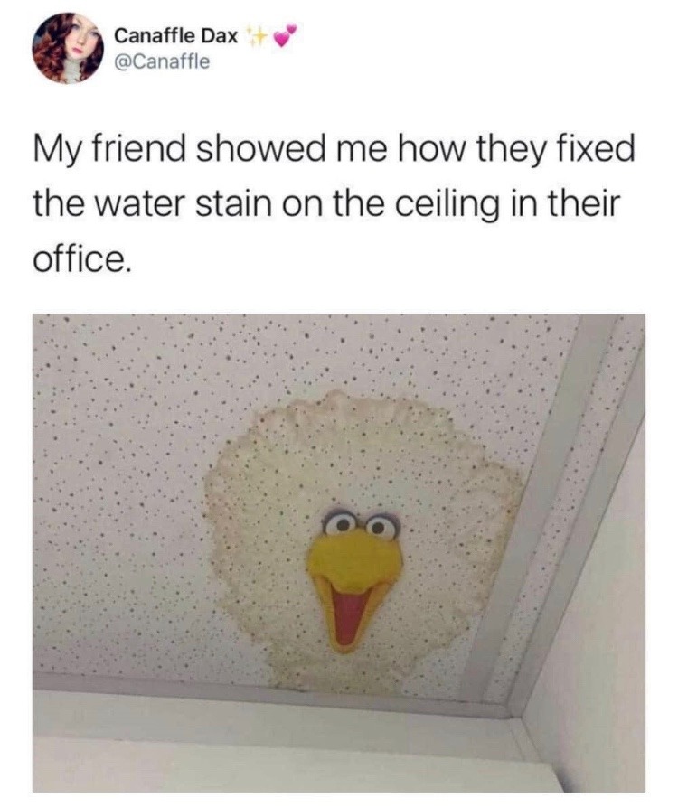 big bird - meme