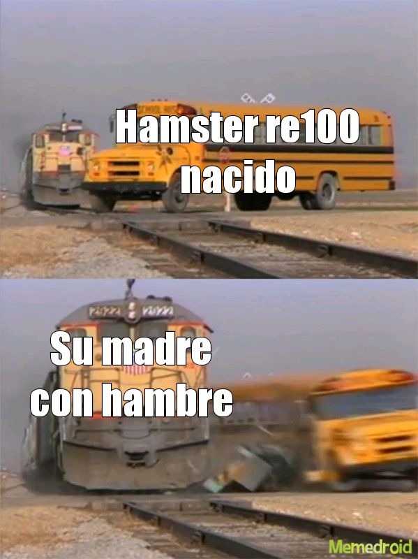 When haces tus momos de jamster - meme