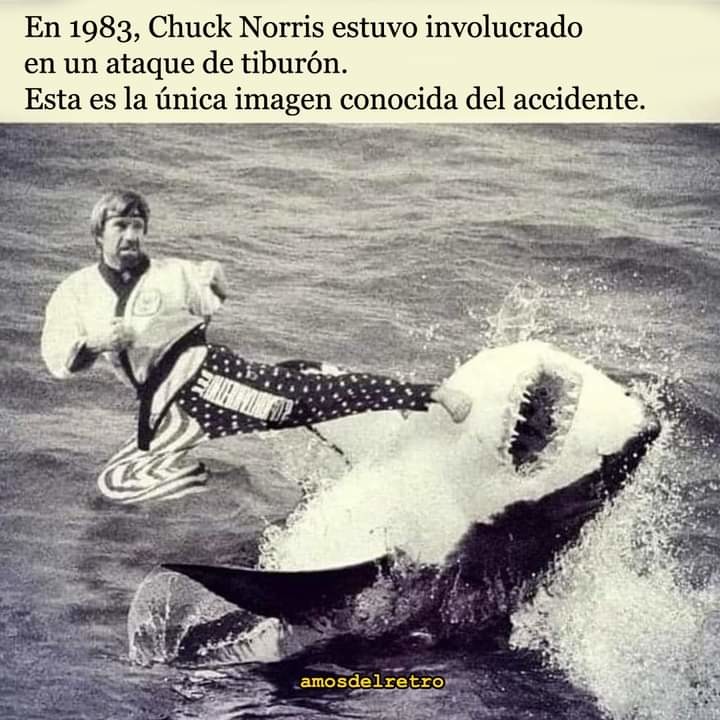 ¡Chuck norris, el unico que derrota a un tiburón con sus patadas! - meme
