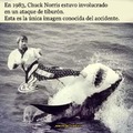 ¡Chuck norris, el unico que derrota a un tiburón con sus patadas!