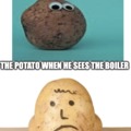 Potato From Preschool