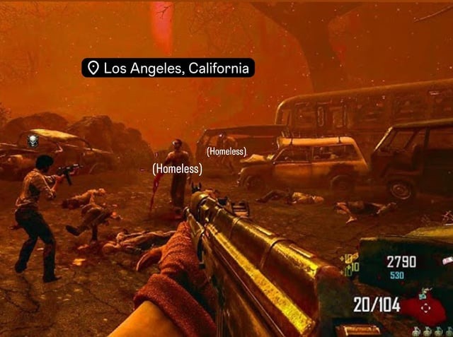 Meme de los fuegos de Los Angeles