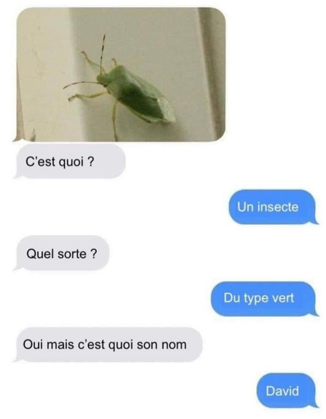 David. - meme