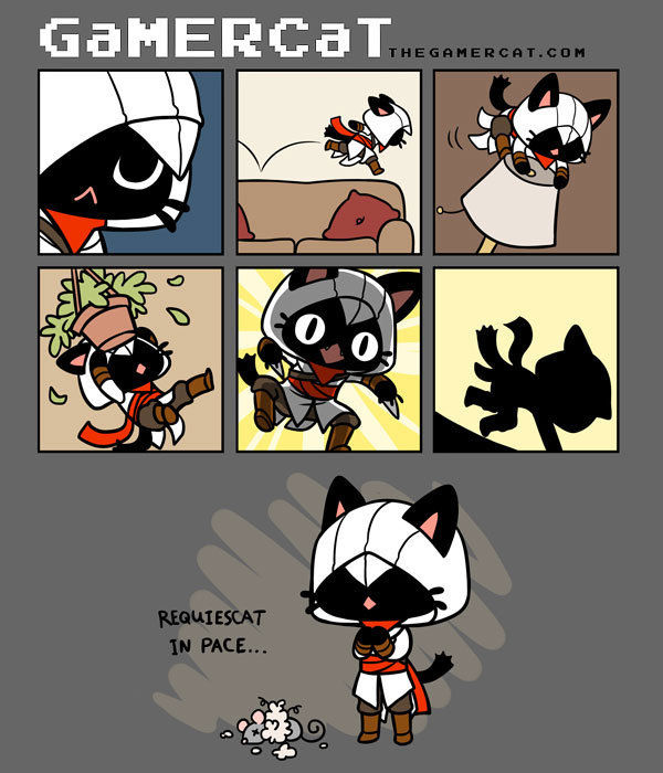gamer cat - meme