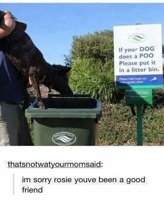 Poor Rosie - meme